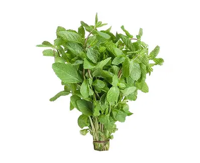 Mint Leaf