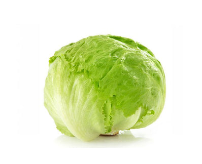 Lettuce