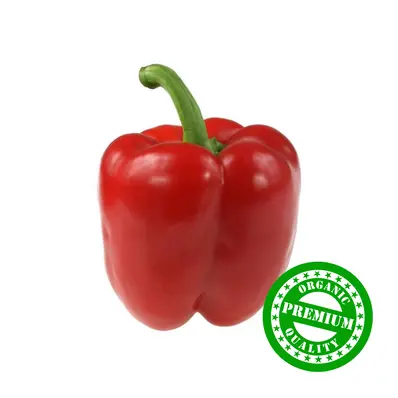 Red Capsicum