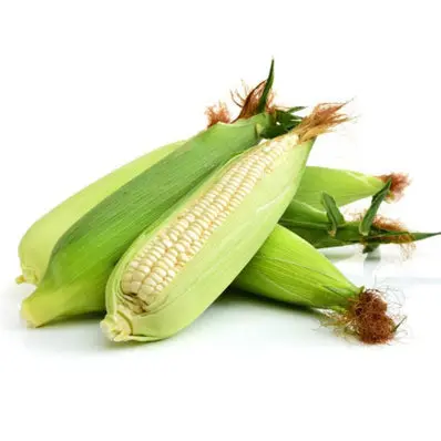 White Corn