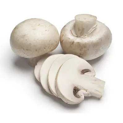 White Mushroom